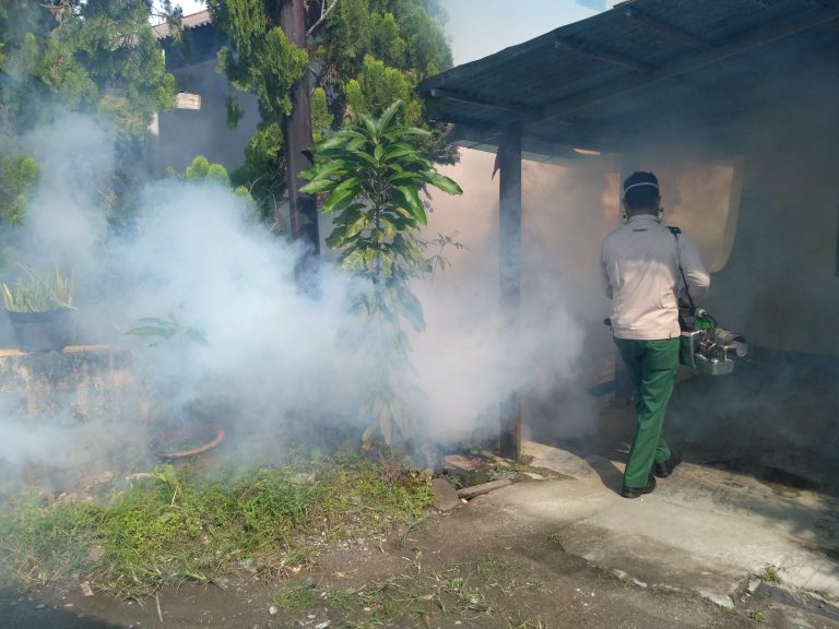 Ntb Gencarkan Fogging Cegah Malaria Dan Dbd Seputar Ntb
