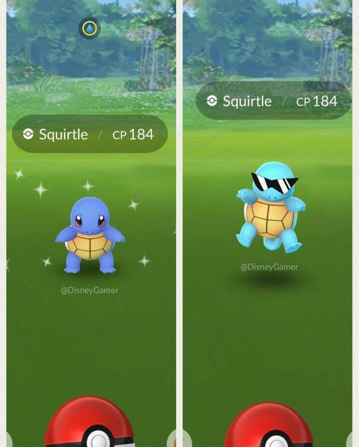 Pokémon GO Community Day Squirtle Pokémothim