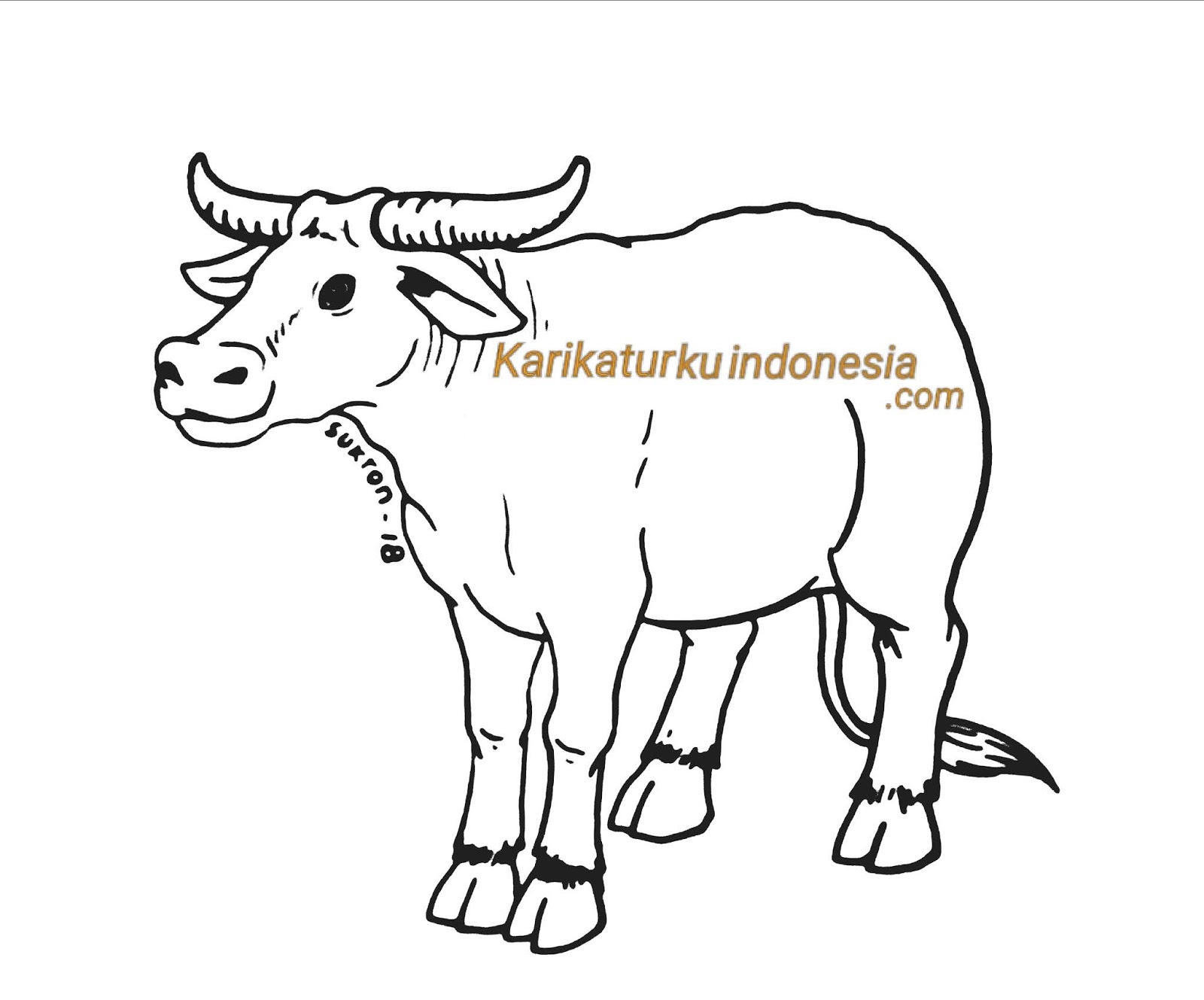 Mewarnai Gambar Sapi Perah - GAMBAR MEWARNAI HD