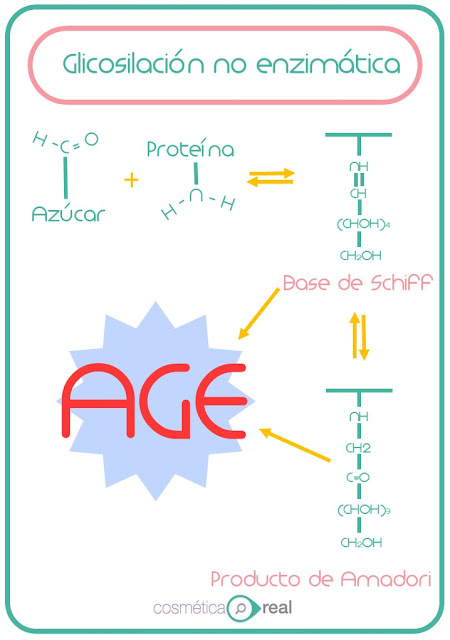 Envejecimiento y Glicosilación no enzimática