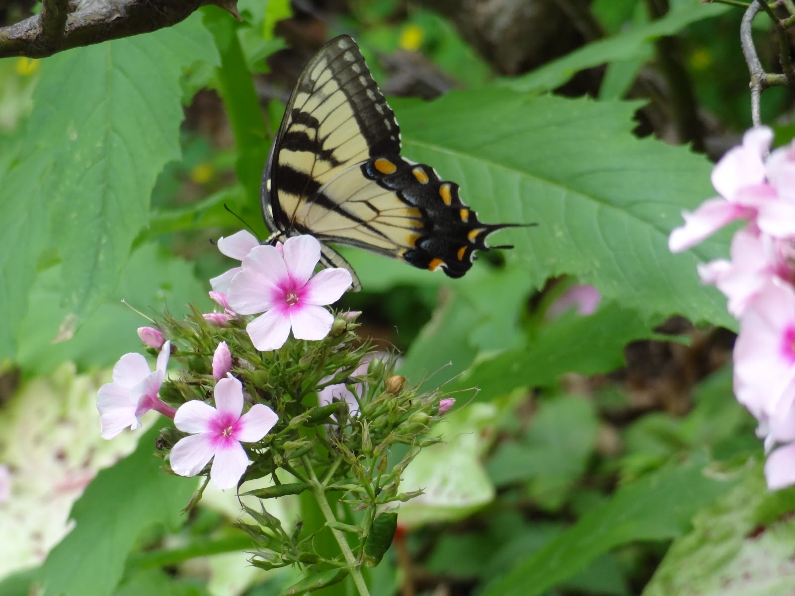 Live and Learn-Toss and Turn: 08/01/2012 - 09/01/2012