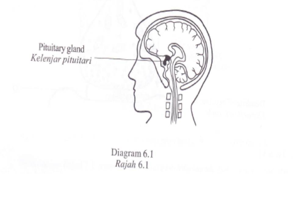 Through my eyes 12. Coordination and Response