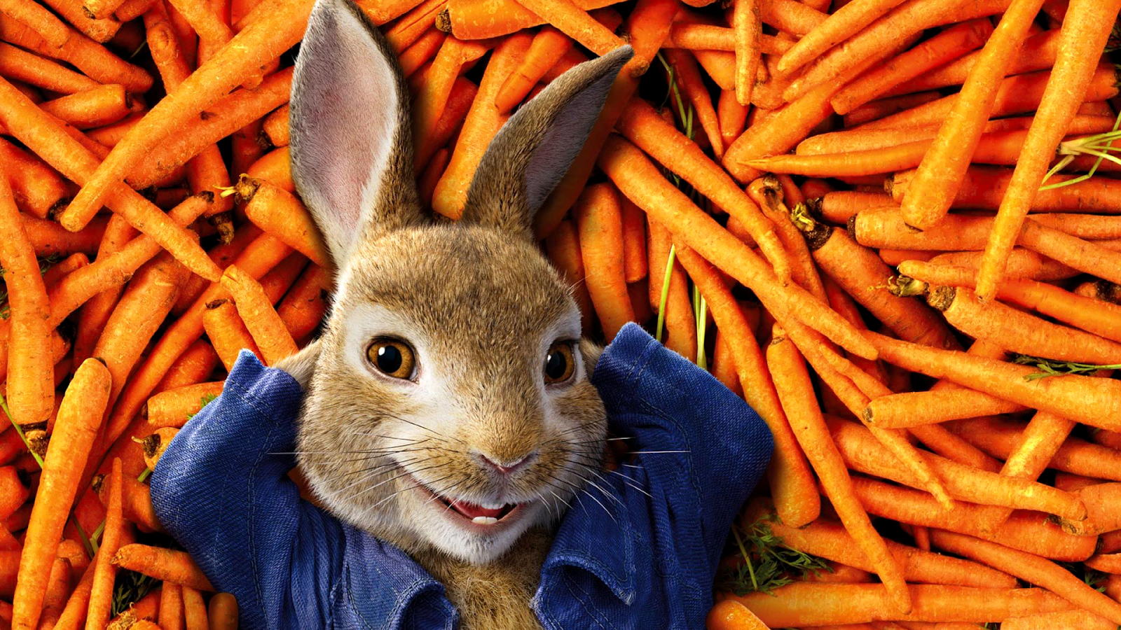 Peter Rabbit - 1920x1080 Wallpapers - Full HD Backgrounds