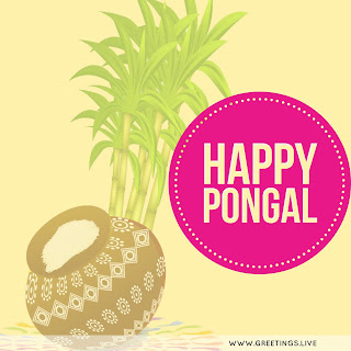 Beautiful Pongal greetings with pongal pot sugar cane.jpg