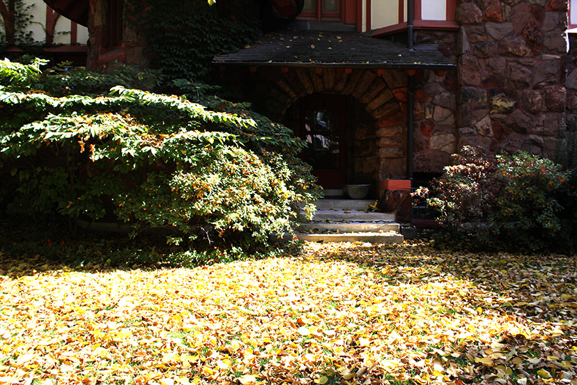 ArchitectureChicago PLUS Scales House Takes A Fall