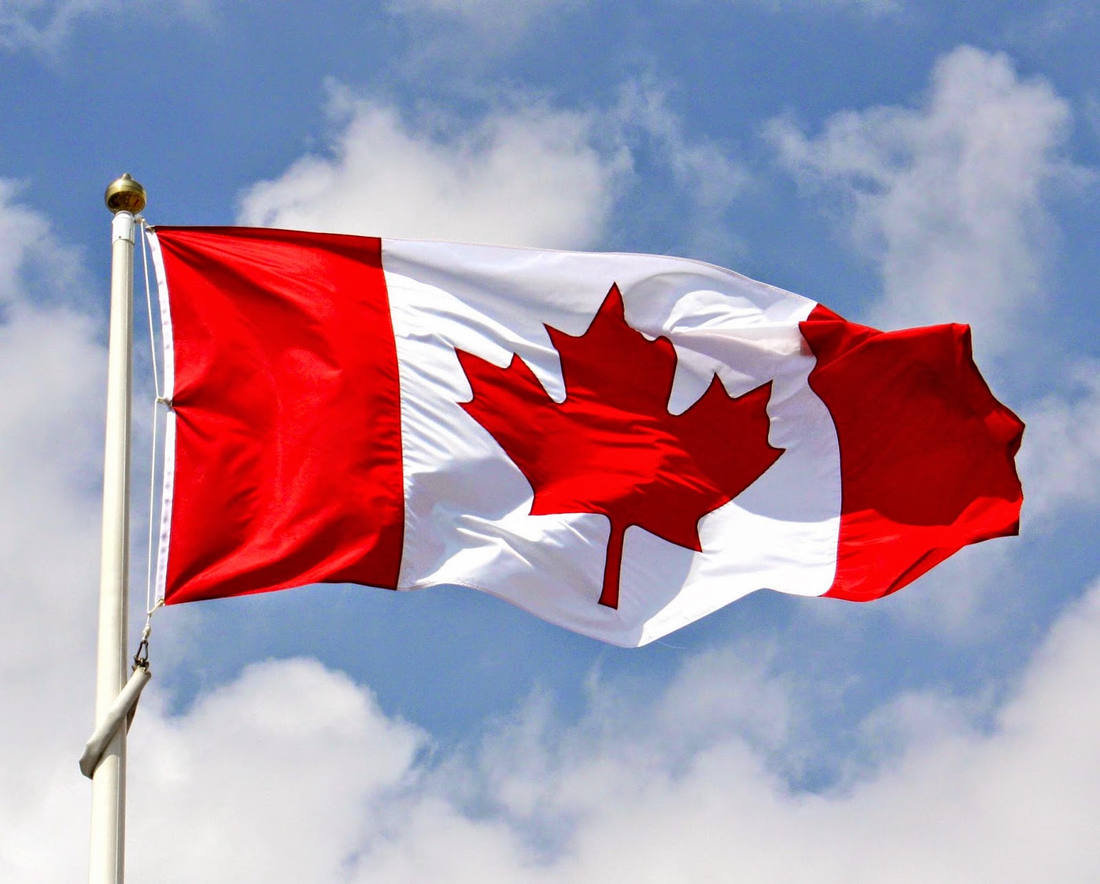 Canada Flag main image 1