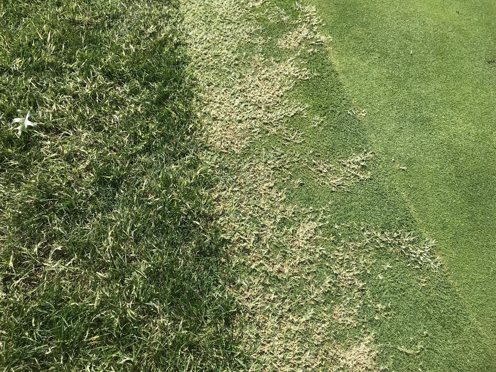 Glen Echo Country Club Golf Course Management Spraying Collars with