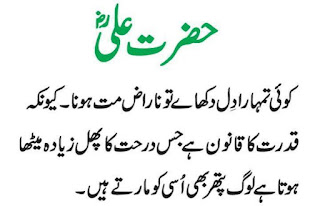 Aqwal Hazrat Ali A.s. | Golden Words of Hazrat Ali A.s.