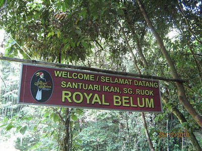 Royal Belum