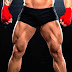Best Muscle Building Workouts, Legs