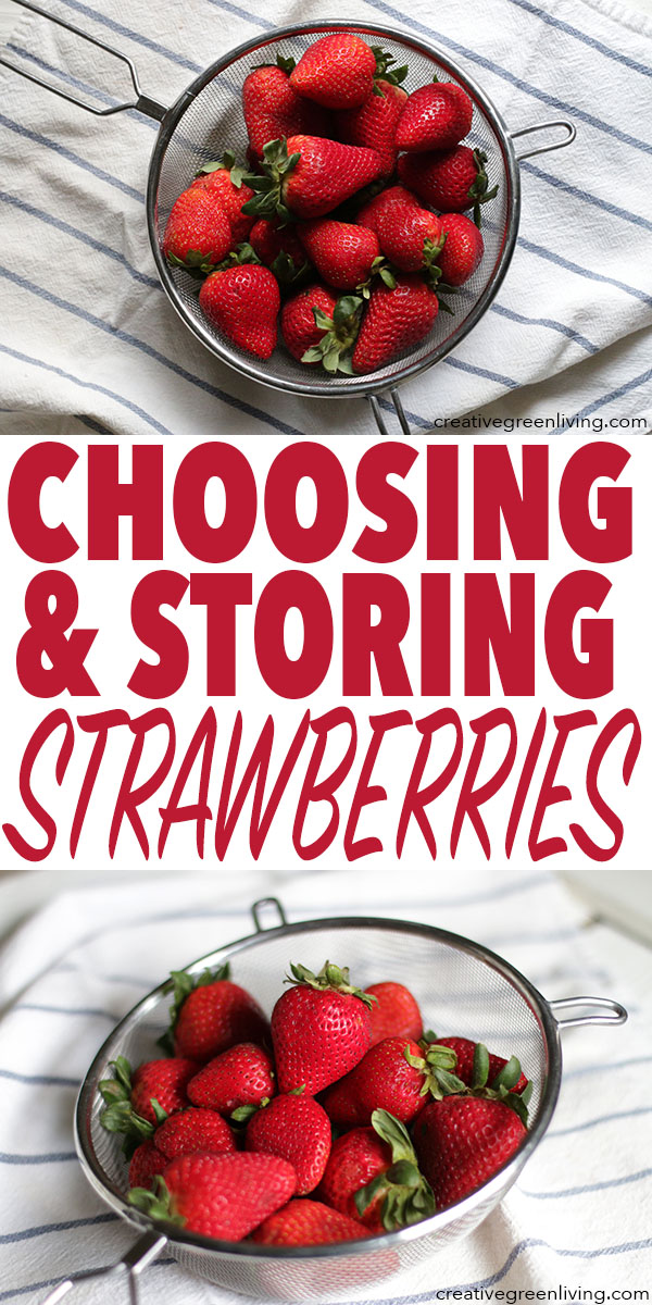 How to Choose & Store Ripe Strawberries Creative Green Living
