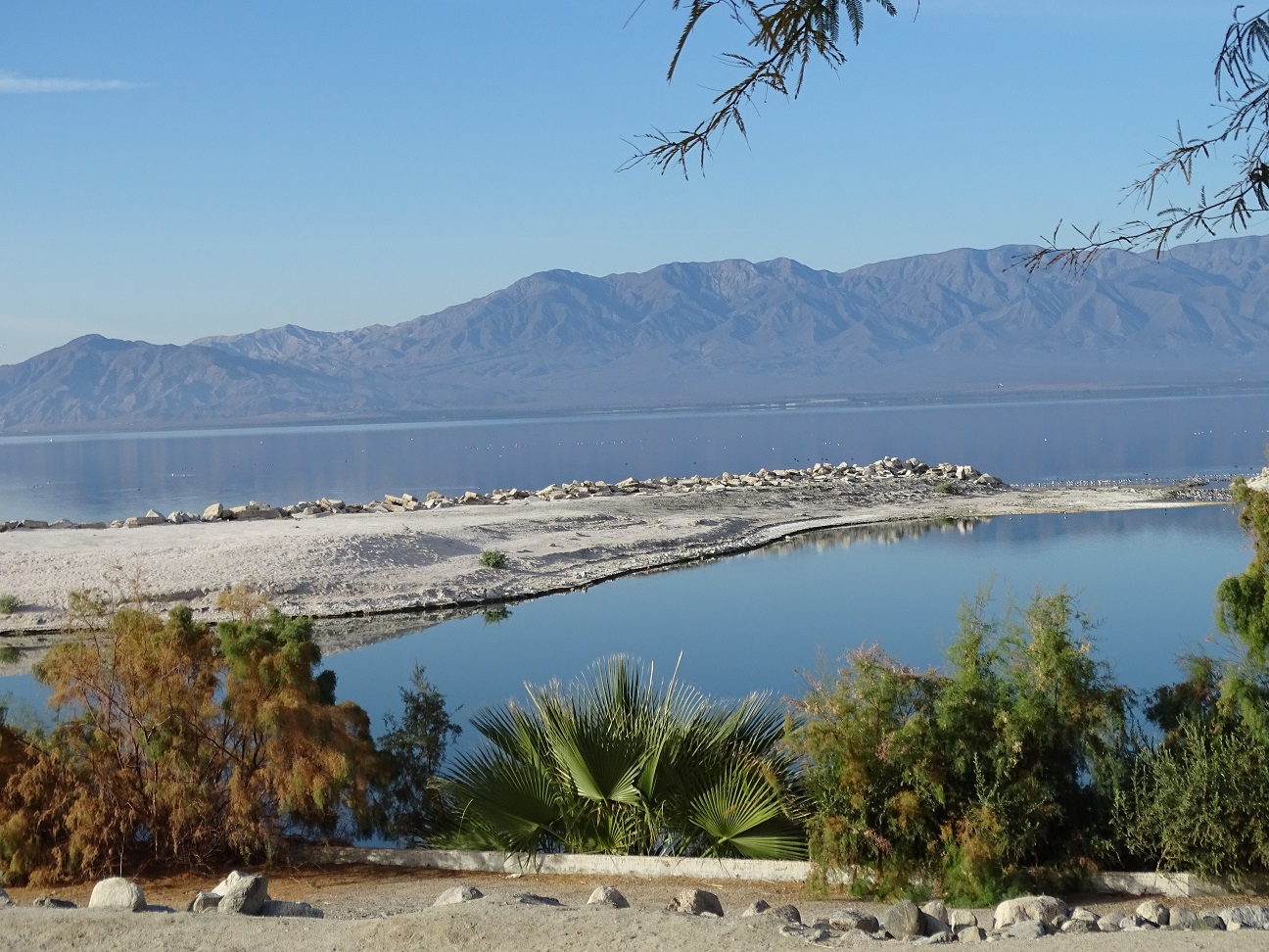 Postcards from Idyllwild The Salton Sea A Magnificent Place!