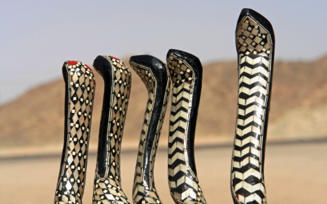 Snakes: Snakes In The Desert