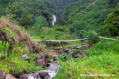 Sungai kecil yang dilewati menuju Curug Muncar Petungkriyono Sungai kecil yang dilewati menuju Curug Muncar Petungkriyono