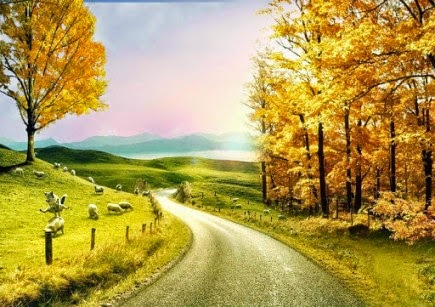 hd photo wallpaper free download Full size hd wallpapers for pc wallpaper cave.