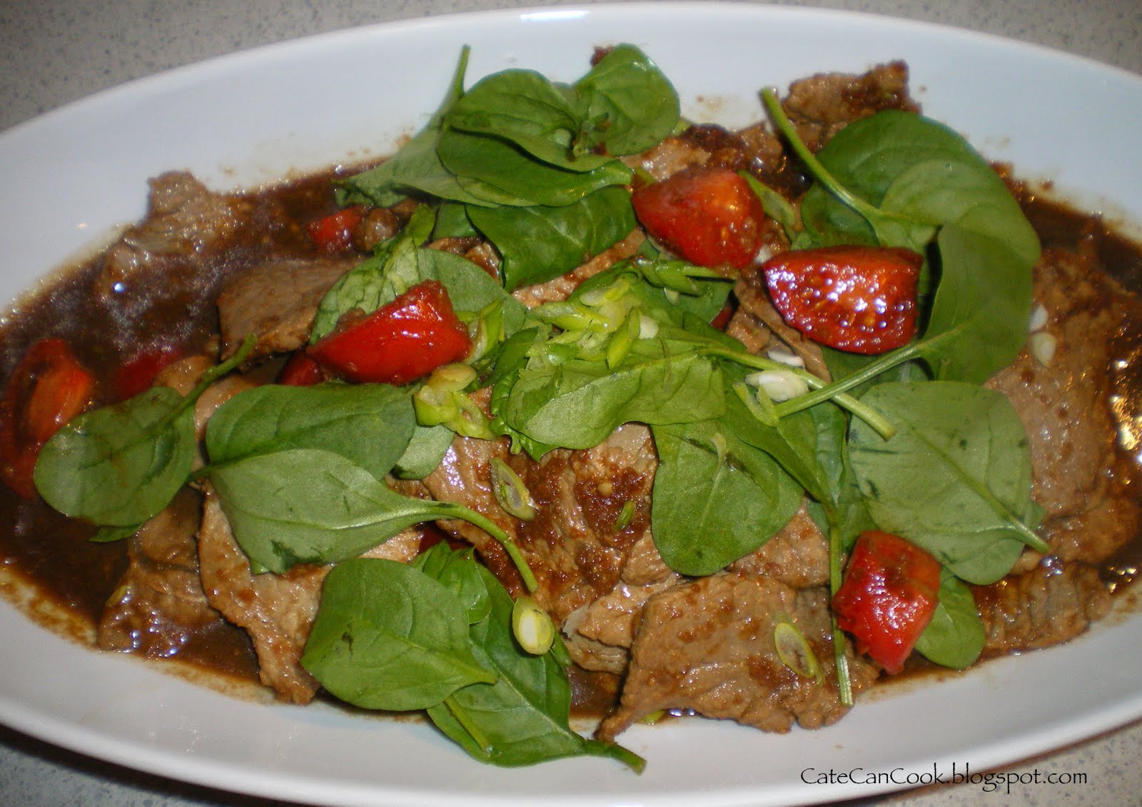 Cate Can Cook, So Can You!! Beef in Sweet Soy Sauce