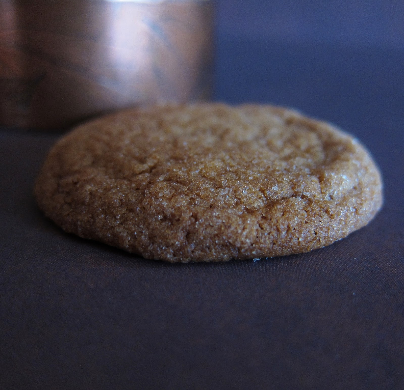 Arctic Garden Studio Ginger Snaps