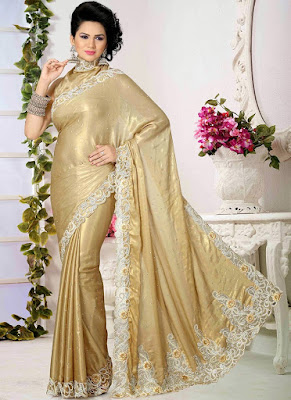 Latest Shimmer Sari design 2015