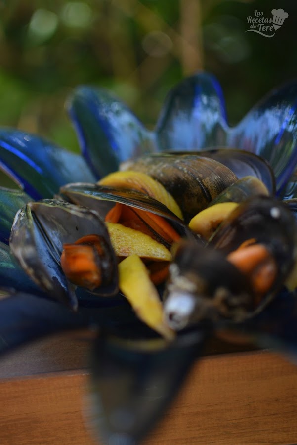 mejillones-al-vapor-de-vapor-vino-blanco-05