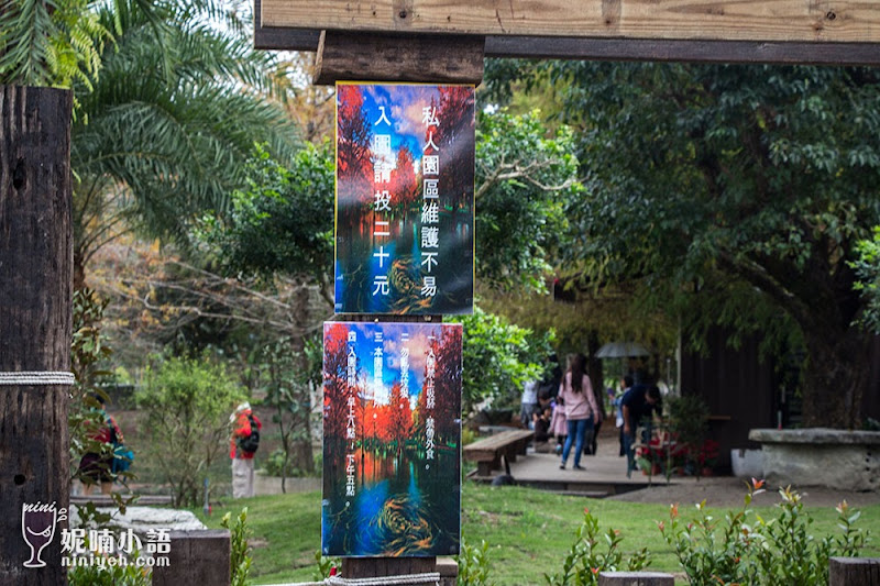 【花蓮秘境】鈺展苗圃。秋冬限定絕美落羽松秘境 【花蓮秘境】鈺展苗圃。秋冬限定絕美落羽松秘境