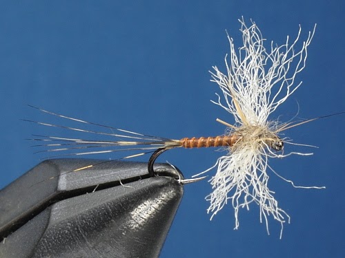 Grayling on the Fly: Orange Quill Spinner