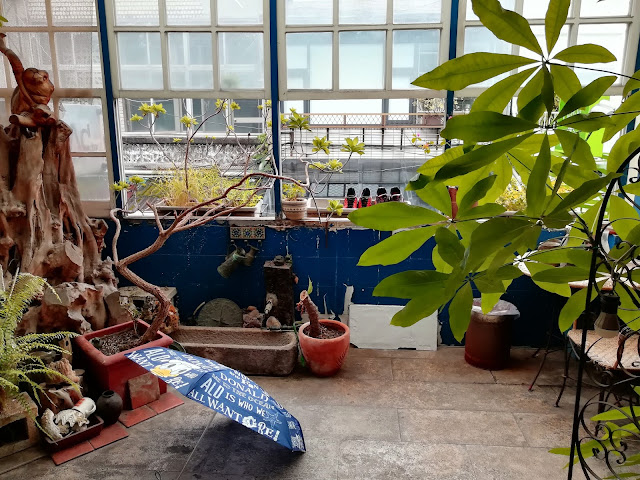 living in Asia