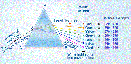 Trick To Remember Colours Of The Spectrum Of White Light VIBGYOR GK Tricks Com