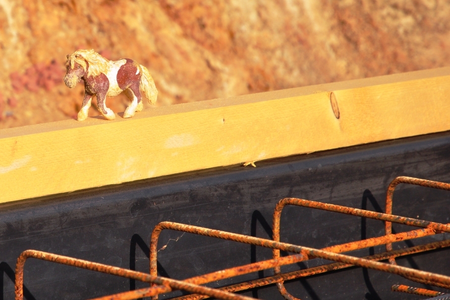 Haus in Sicht...: Chaos pur, aber: Keller steht