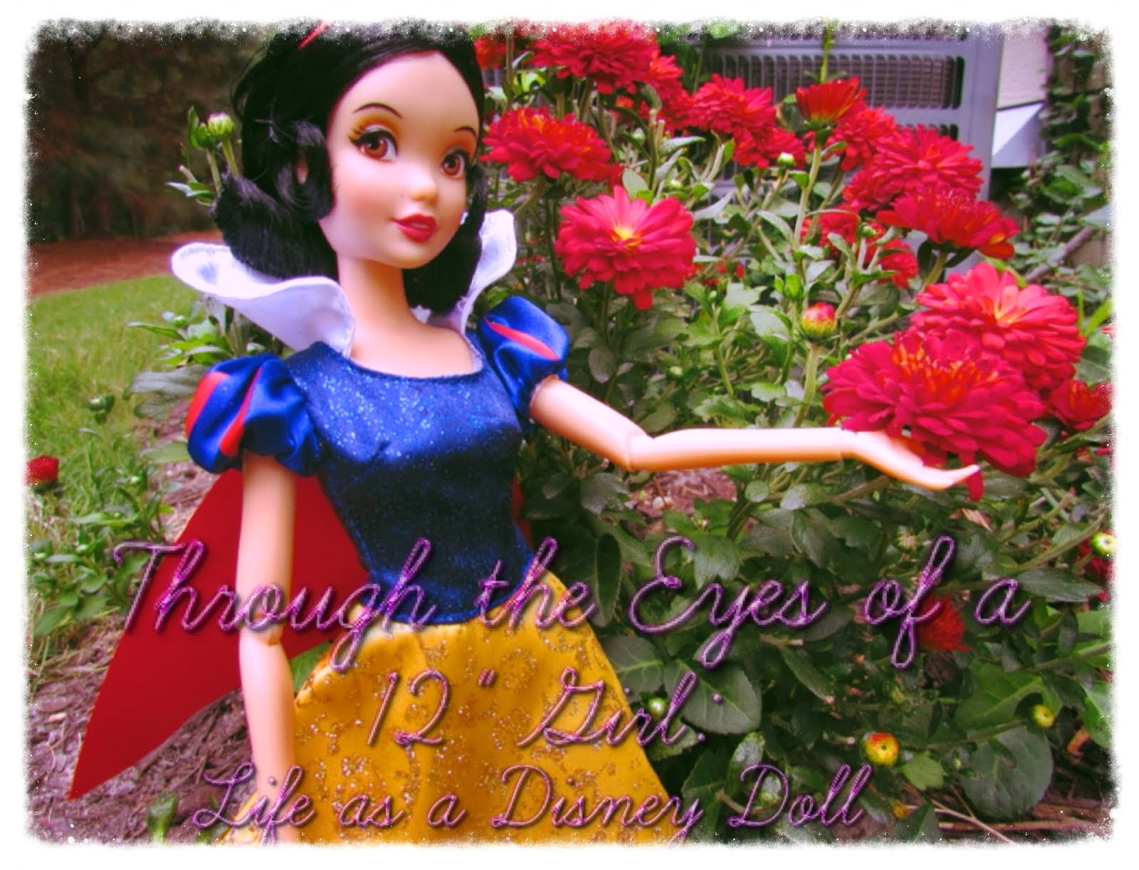 Through the Eyes of a 12" Girl: Life as a Disney Doll