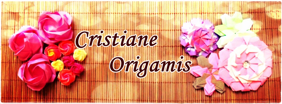 Cristiane Origamis