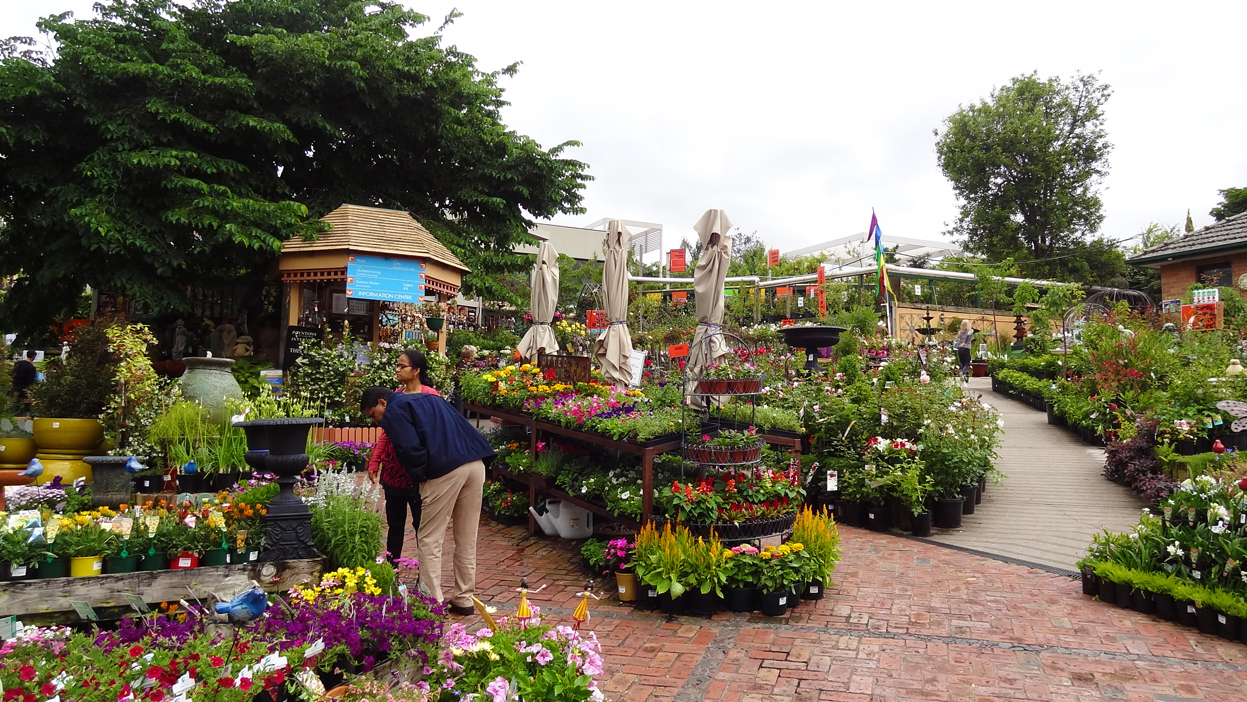 MAP POYNTONS NURSERY, ESSENDON