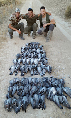 Caza palomas Aranjuez