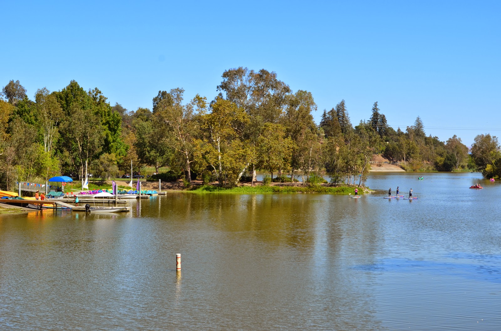 Tough is not enough Wildlife, Trains & Boats at Vasona Park