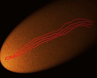 Gravura Rupestre representando um Meteoro ou a Queda de um Meteorito (Central - BA)-7