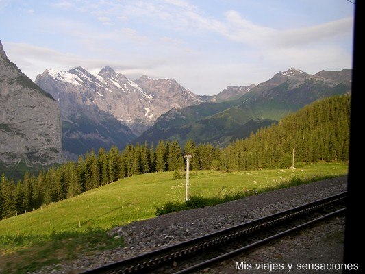 Vistas desde el tren subiendo al Jungfrau, Suiza