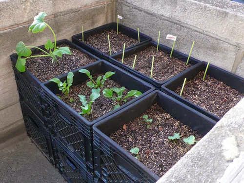 http://www.instructables.com/id/Milk-Crate-Air-Pot-Square-Foot-Urban-Container-G/