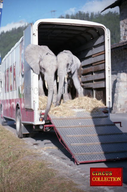 camion bétaillère  des deux éléphants du cirque Nock 