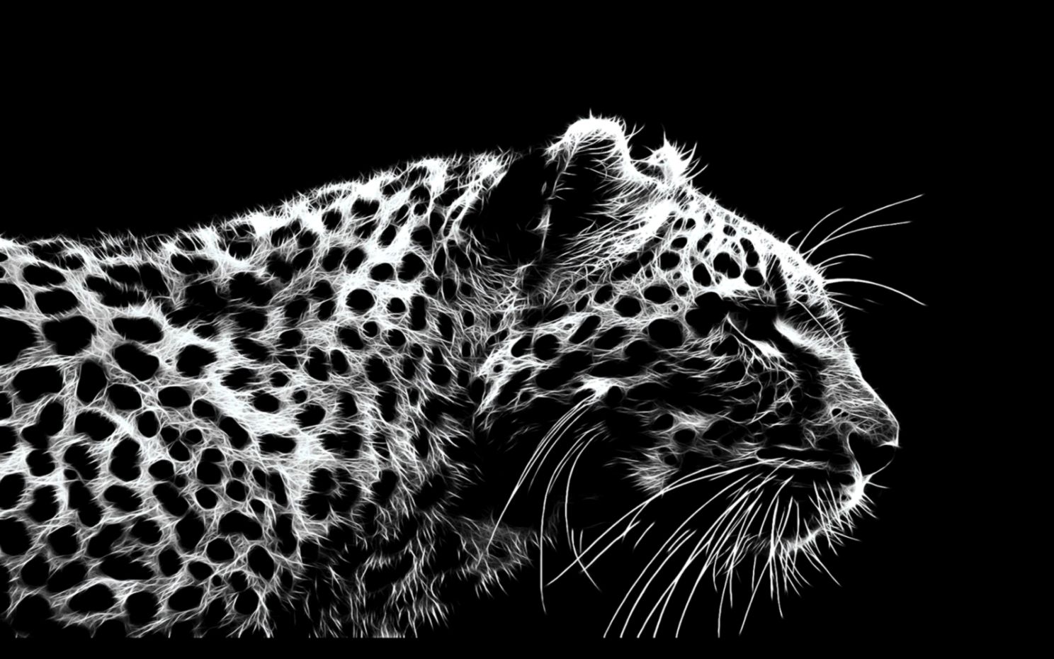 Leapord Background Cool Wallpaper HD Desktop