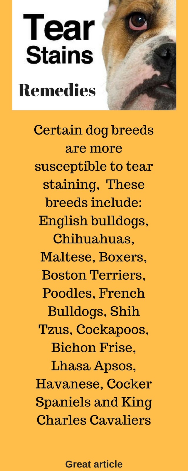 I love My Dog; Natural Pet Health, Remedy for tear stains in dogs