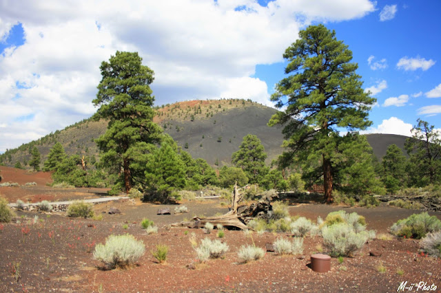 M-ii Photo : Sunset Crater Volcano National Monument