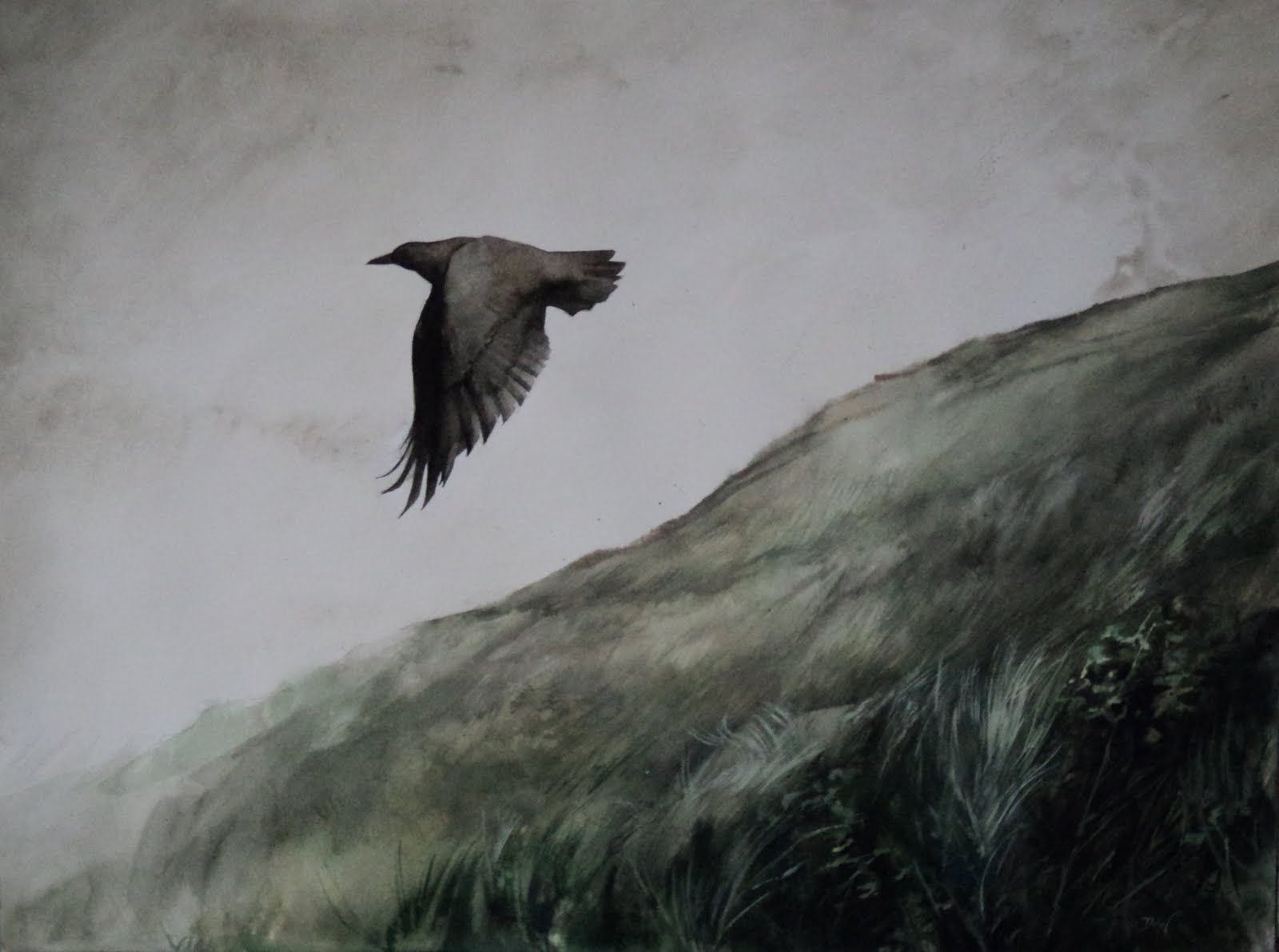 View topic - =/Birds of a feather\= [Maximum Ride][New and Accepting ...