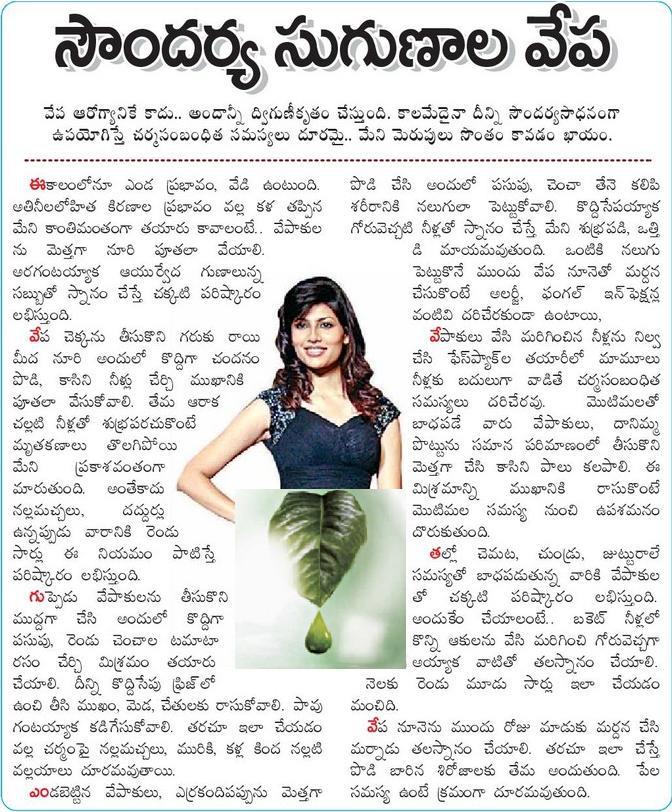 TELUGU WEB WORLD NEEM TREE HEALTH AND BEAUTY BENEFITS VEPA CHETTU UPAYOGALU