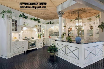 neoclassical kitchen style 2015 designs and ideas, white kitchen cabinets
