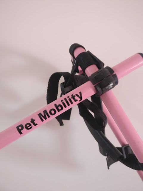 Αναπηρικά αμαξίδια σκύλων Petmobility