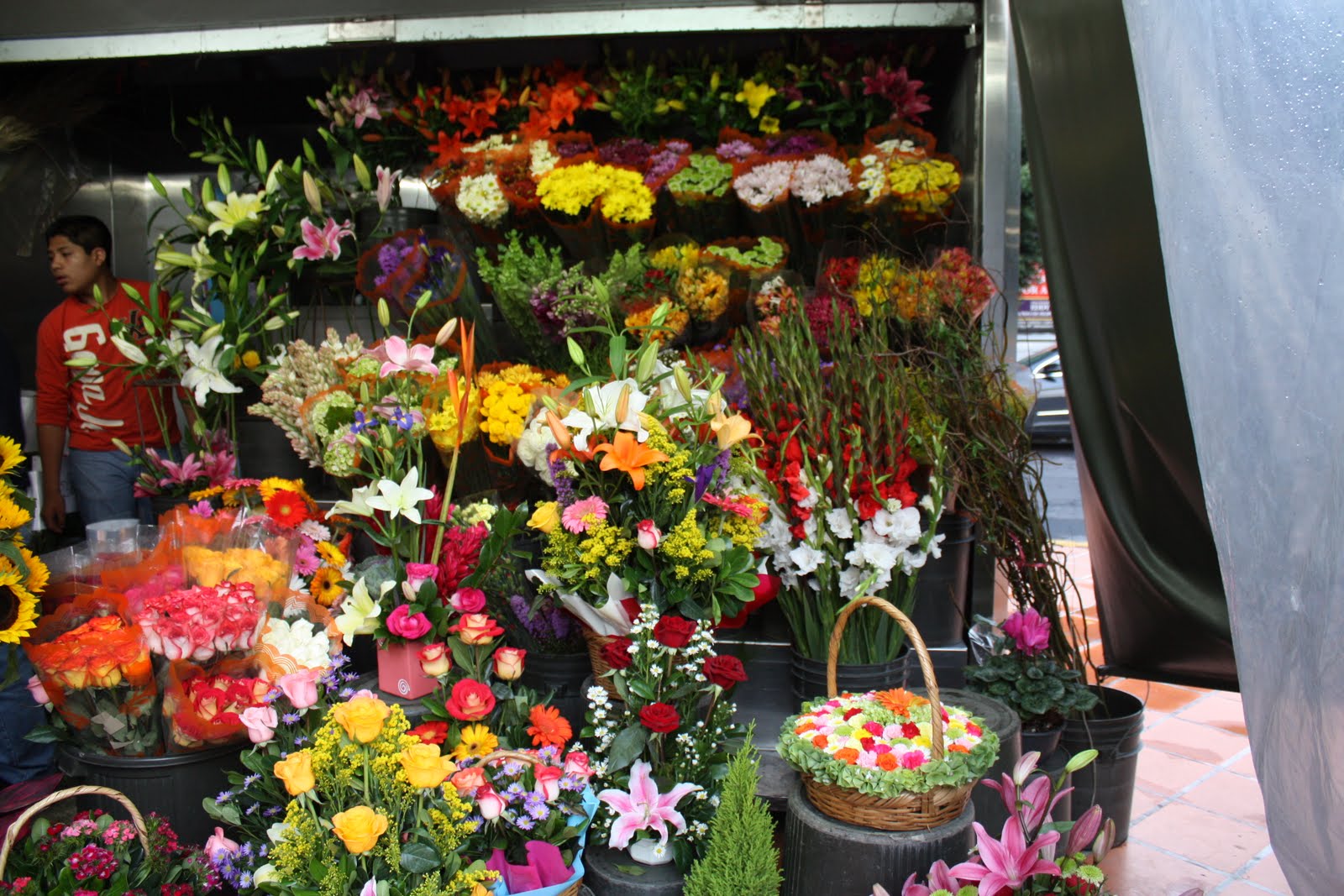 Mis días en México Las Florerías Mis días en México Las Florerías