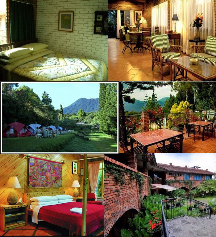 HOTEL PINEWOOD ~ WISATA OUTBOUND JALUR PUNCAK