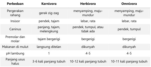 Sistem Pencernaan Pada Hewan Ruminansia Biologi Edukasi Belajar