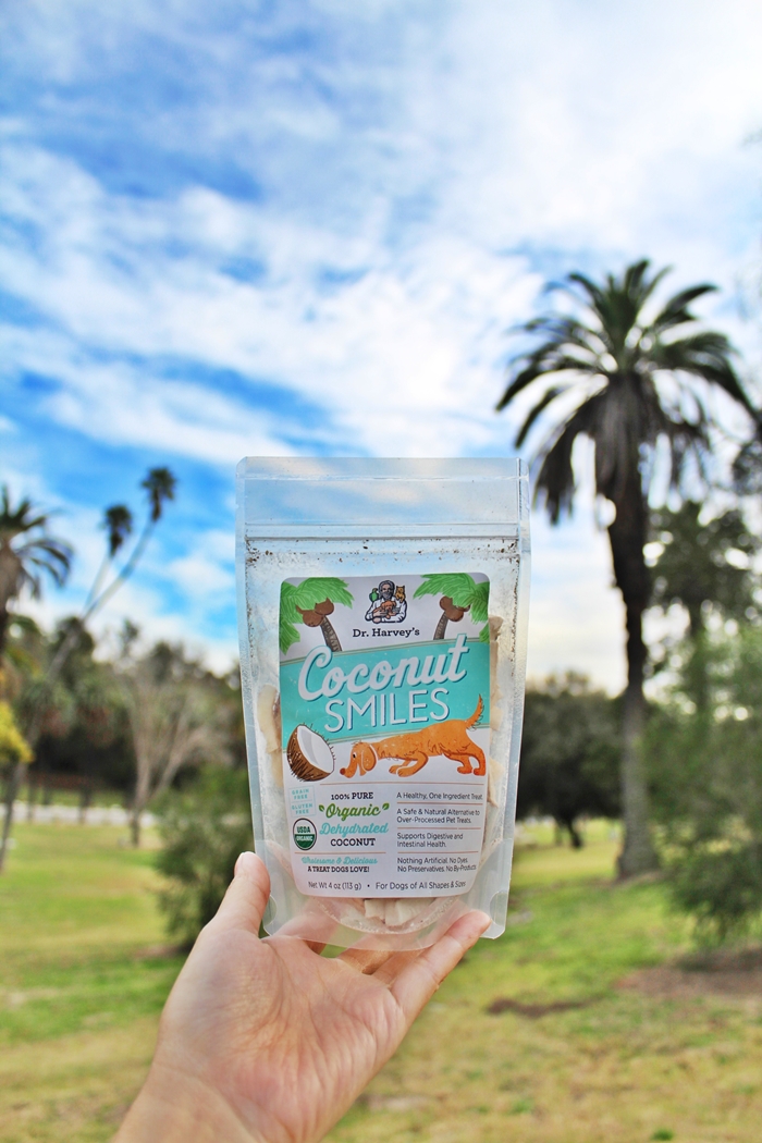 Organic Coconut Treats for Dogs - Dr. Harvey's Coconut Smiles