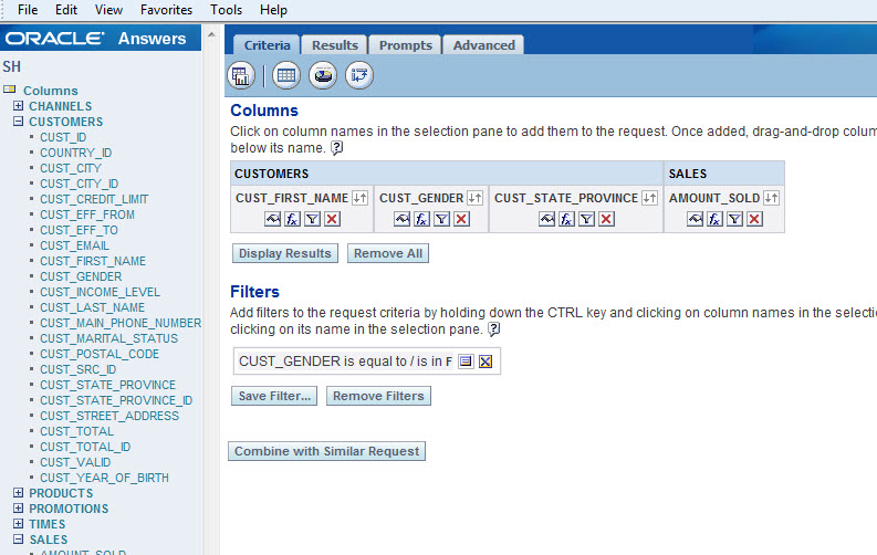 OBIEEbyExample How to Filter data in OBIEE 10g