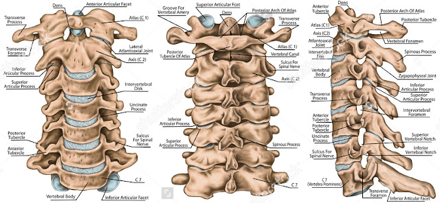 EM Didactic: The obsolete C-Spine X-Rays - Part 1